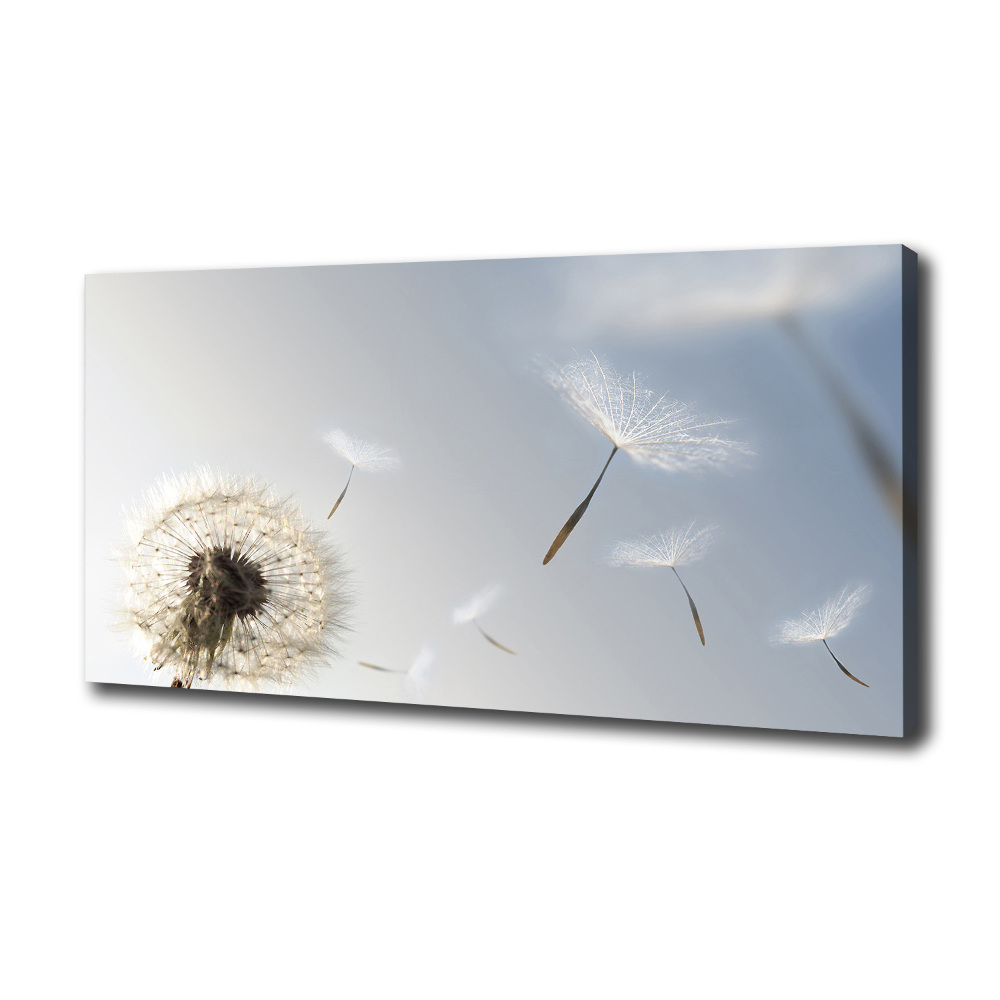 Canvas wall art Dandelion