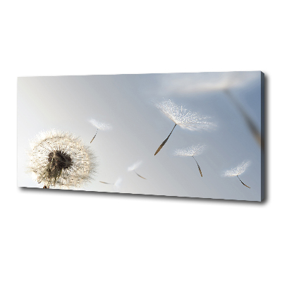 Canvas wall art Dandelion