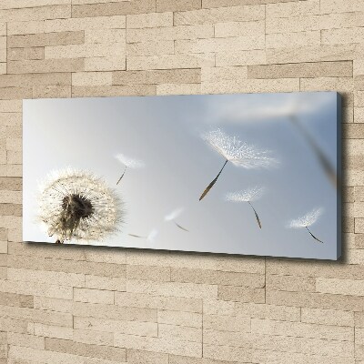 Canvas wall art Dandelion