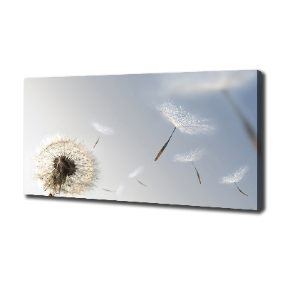 Canvas wall art Dandelion