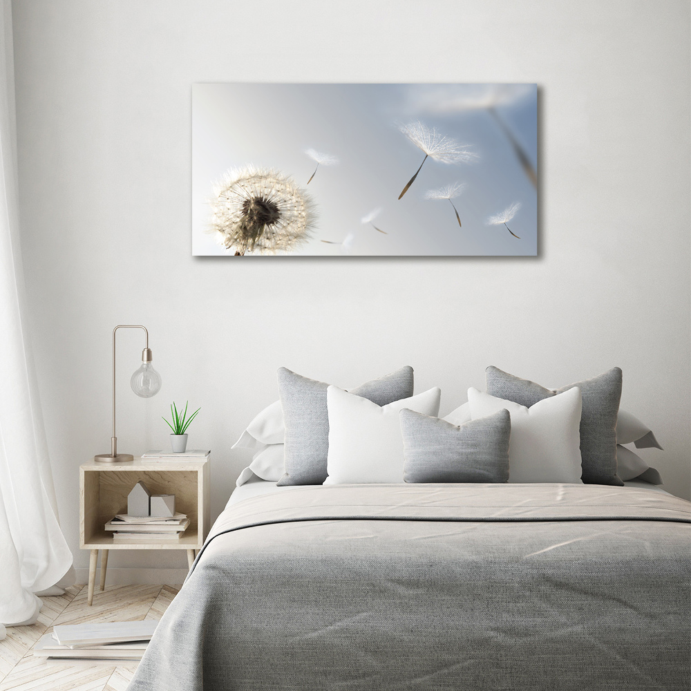 Canvas wall art Dandelion