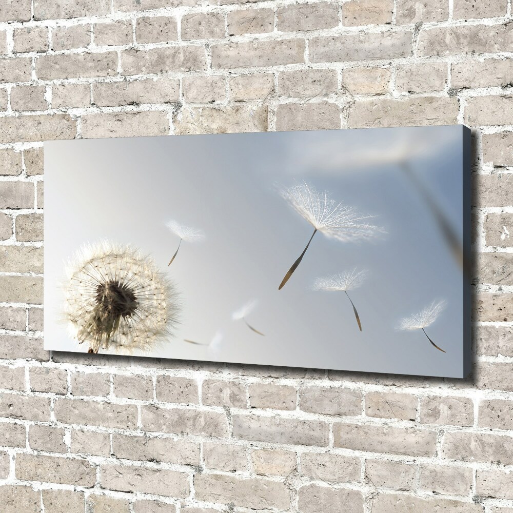 Canvas wall art Dandelion