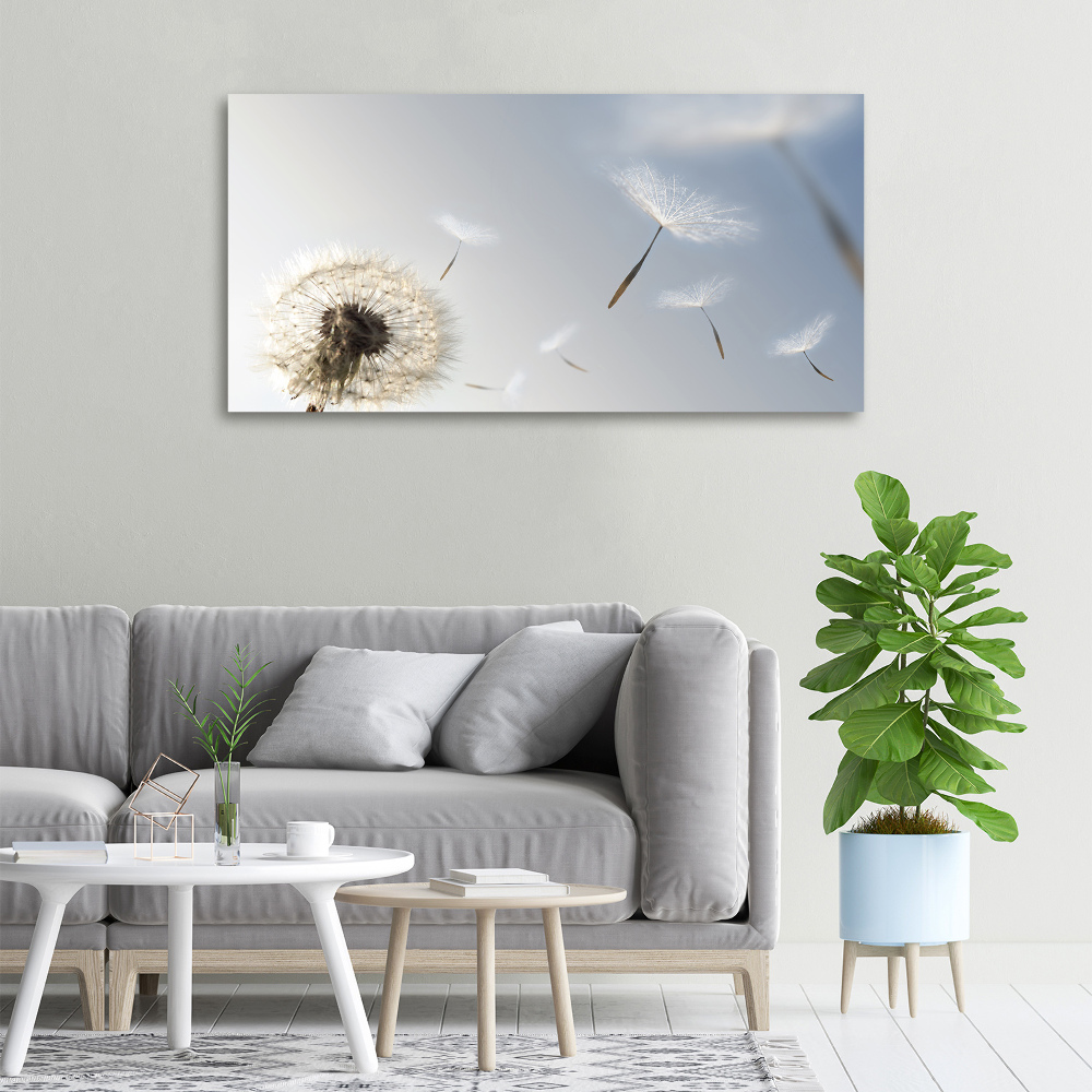 Canvas wall art Dandelion