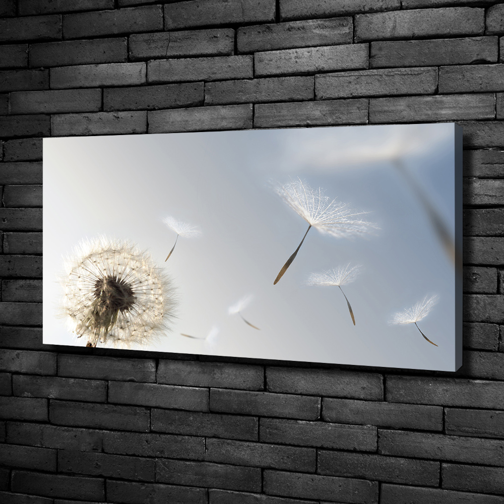 Canvas wall art Dandelion