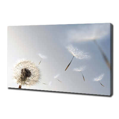 Canvas wall art Dandelion