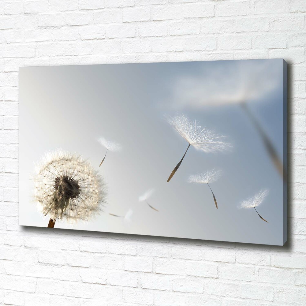 Canvas wall art Dandelion