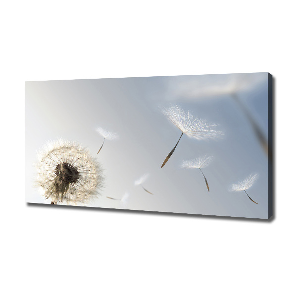 Canvas wall art Dandelion