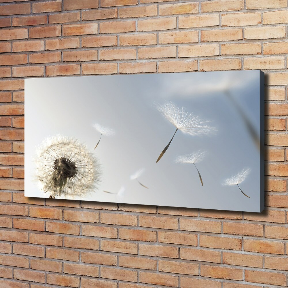 Canvas wall art Dandelion