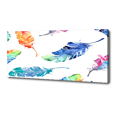 Canvas wall art Colorful feathers