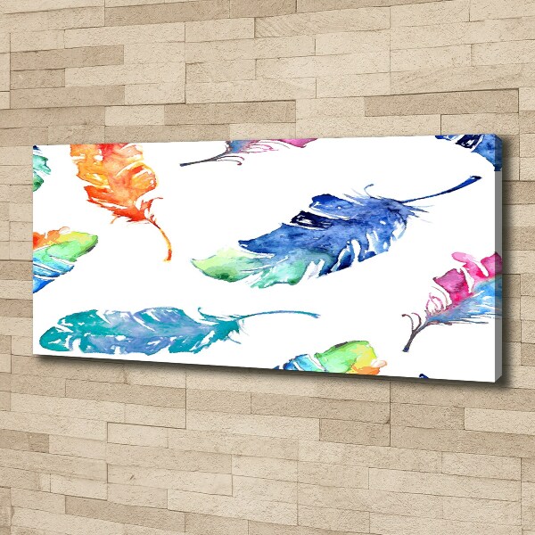 Canvas wall art Colorful feathers