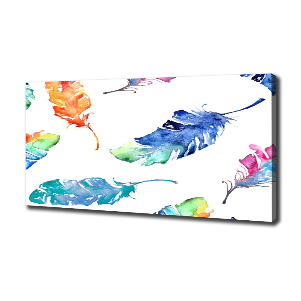 Canvas wall art Colorful feathers