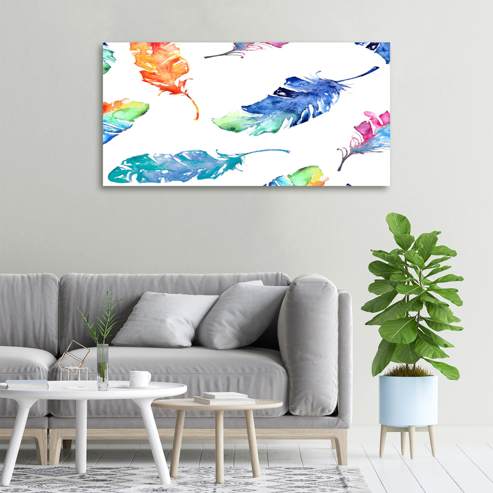 Canvas wall art Colorful feathers