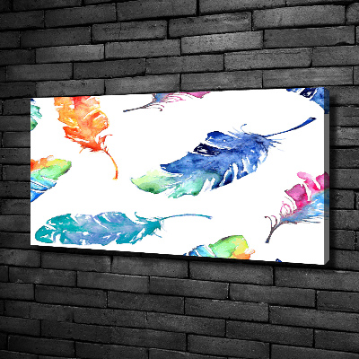 Canvas wall art Colorful feathers