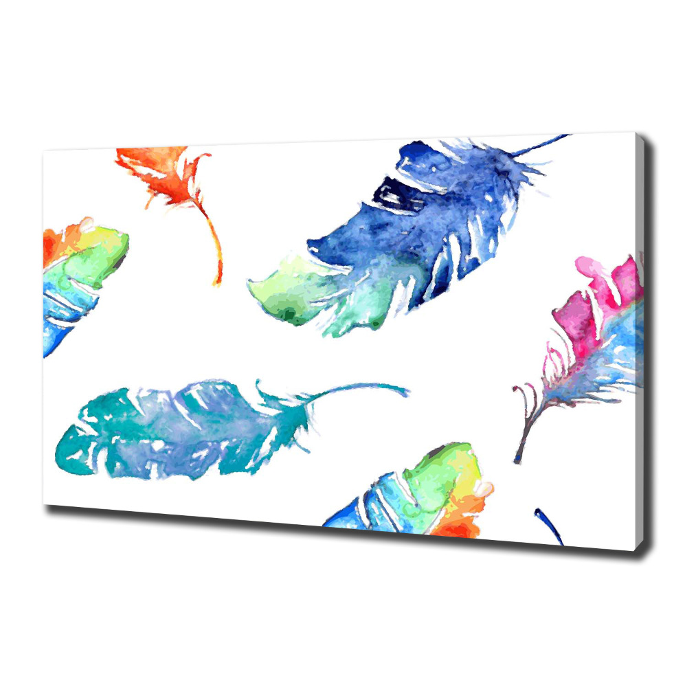 Canvas wall art Colorful feathers