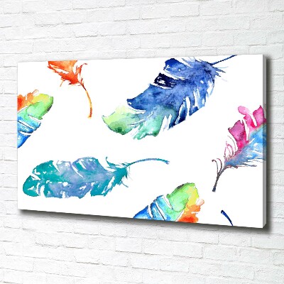 Canvas wall art Colorful feathers