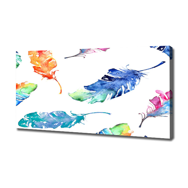 Canvas wall art Colorful feathers