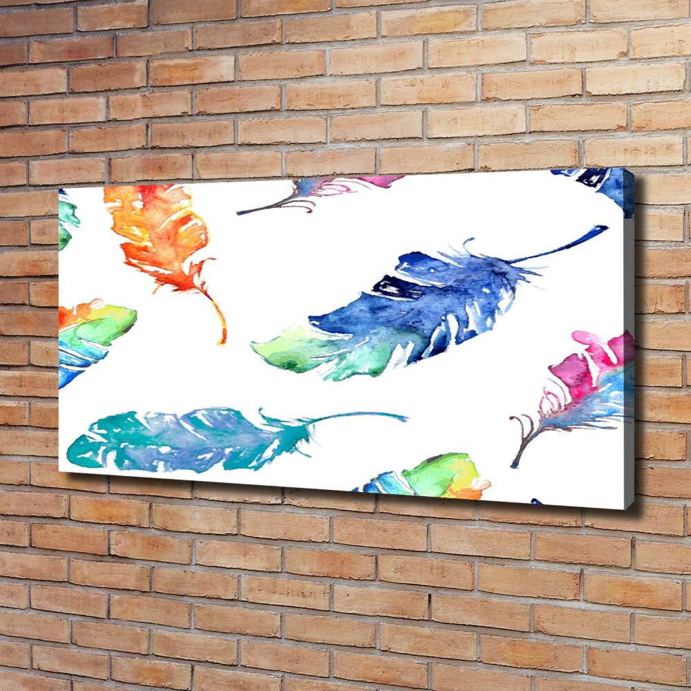 Canvas wall art Colorful feathers