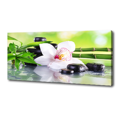 Canvas wall art Orchid