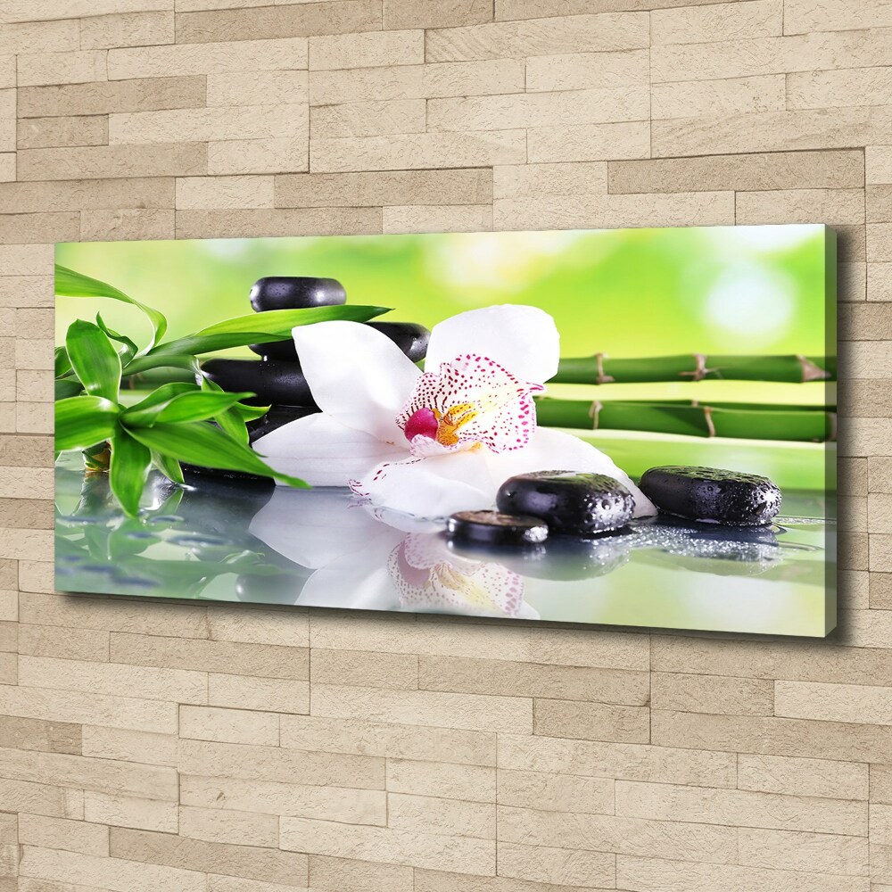 Canvas wall art Orchid