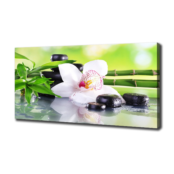 Canvas wall art Orchid