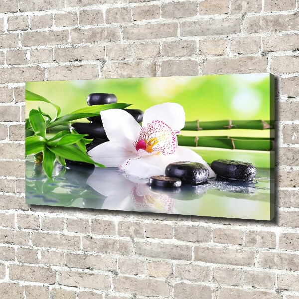 Canvas wall art Orchid