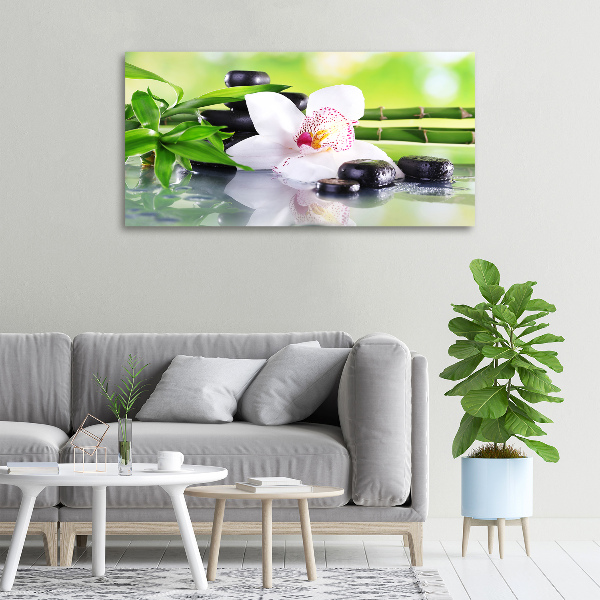 Canvas wall art Orchid