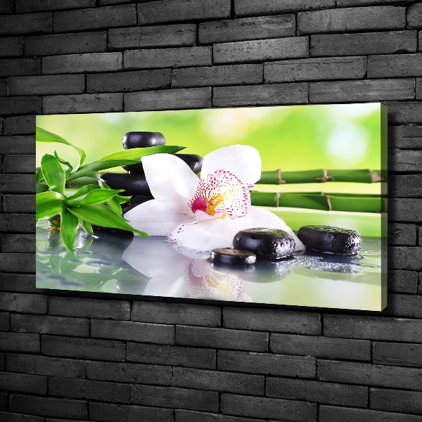 Canvas wall art Orchid