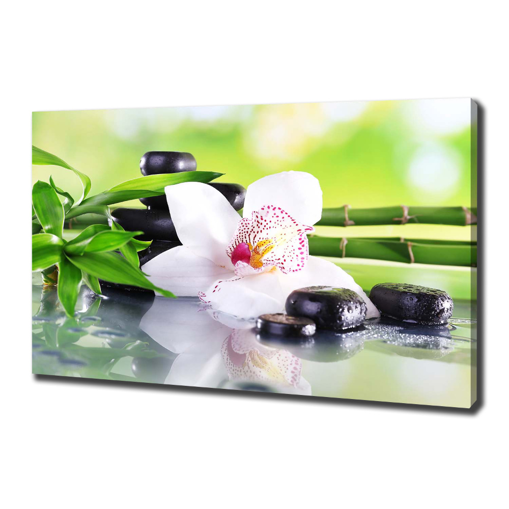 Canvas wall art Orchid