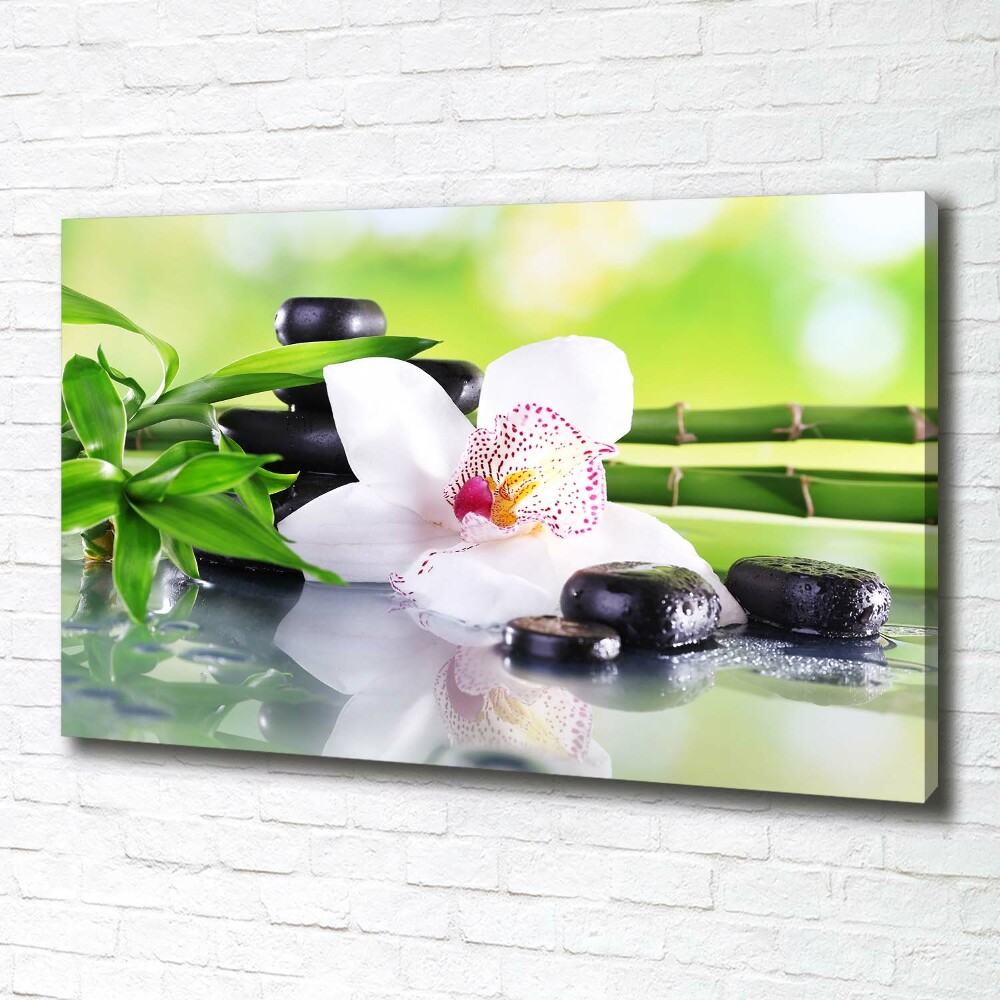 Canvas wall art Orchid