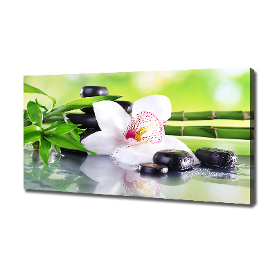 Canvas wall art Orchid