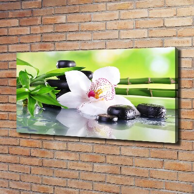 Canvas wall art Orchid