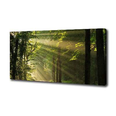 Canvas wall art Forest in the sun