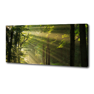 Canvas wall art Forest in the sun