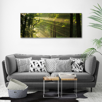 Canvas wall art Forest in the sun