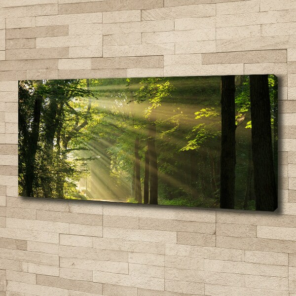 Canvas wall art Forest in the sun