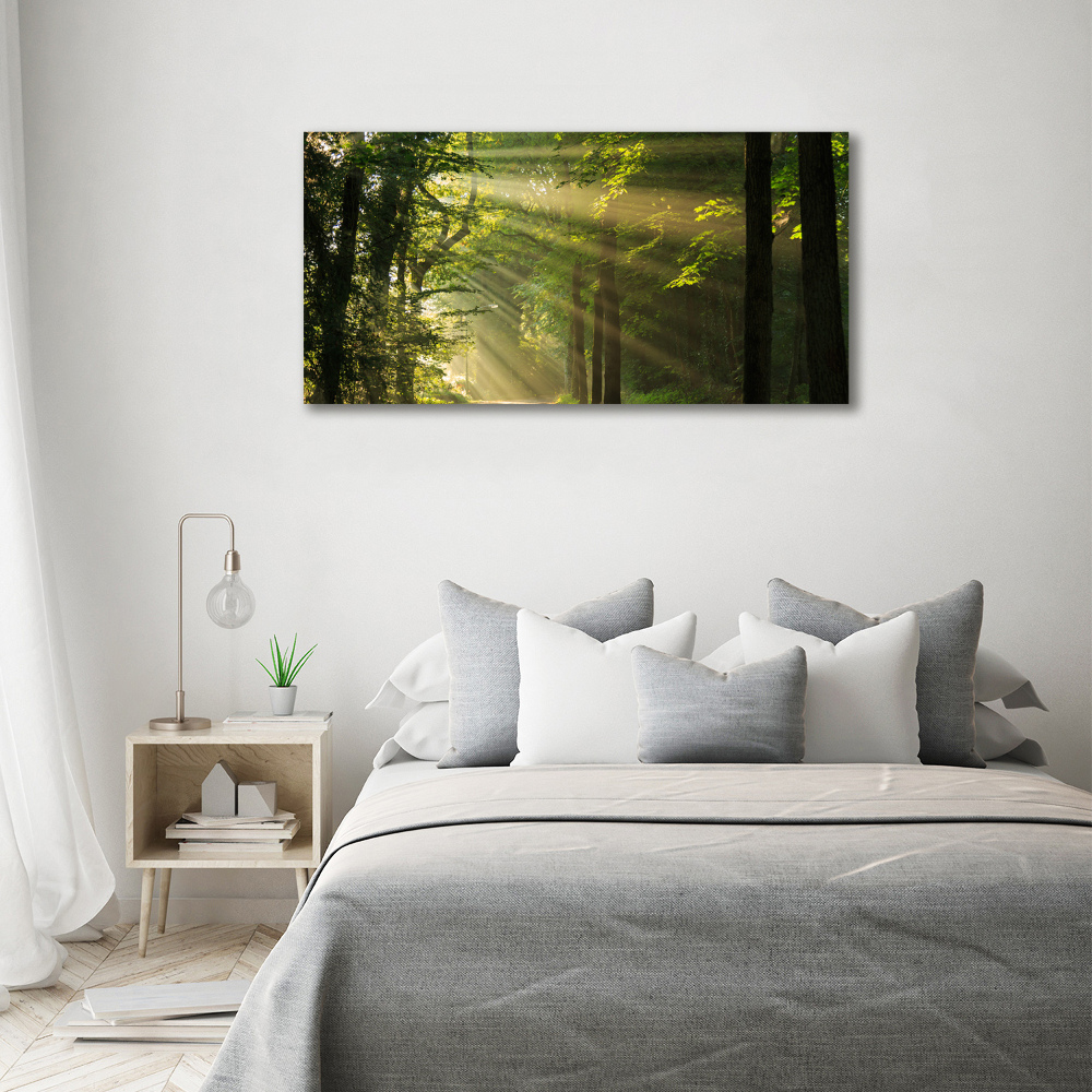 Canvas wall art Forest in the sun