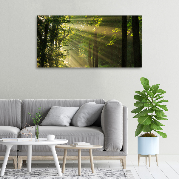 Canvas wall art Forest in the sun