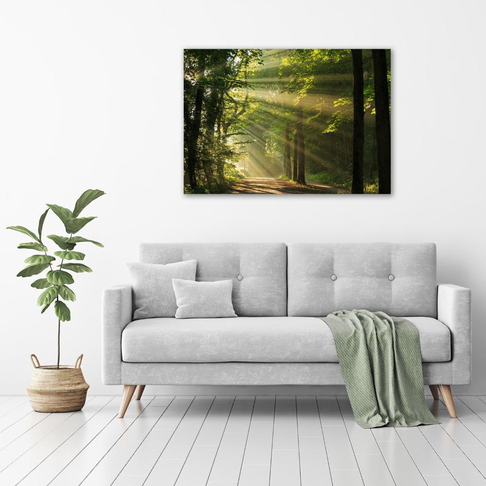 Canvas wall art Forest in the sun