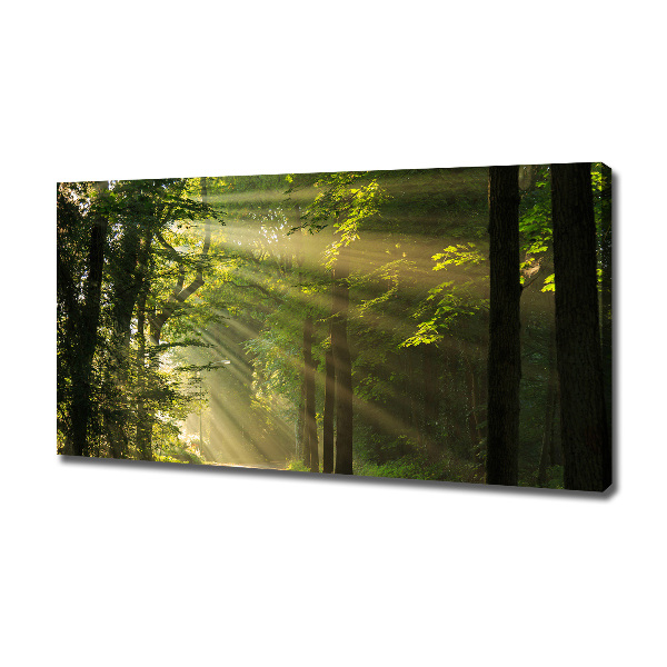 Canvas wall art Forest in the sun