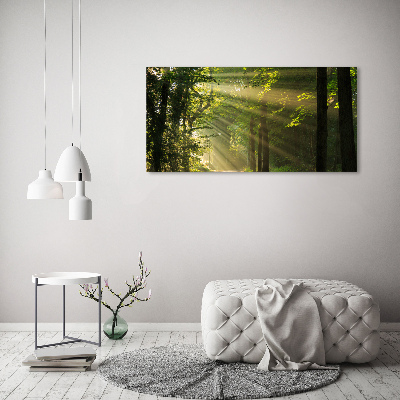 Canvas wall art Forest in the sun