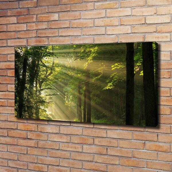 Canvas wall art Forest in the sun