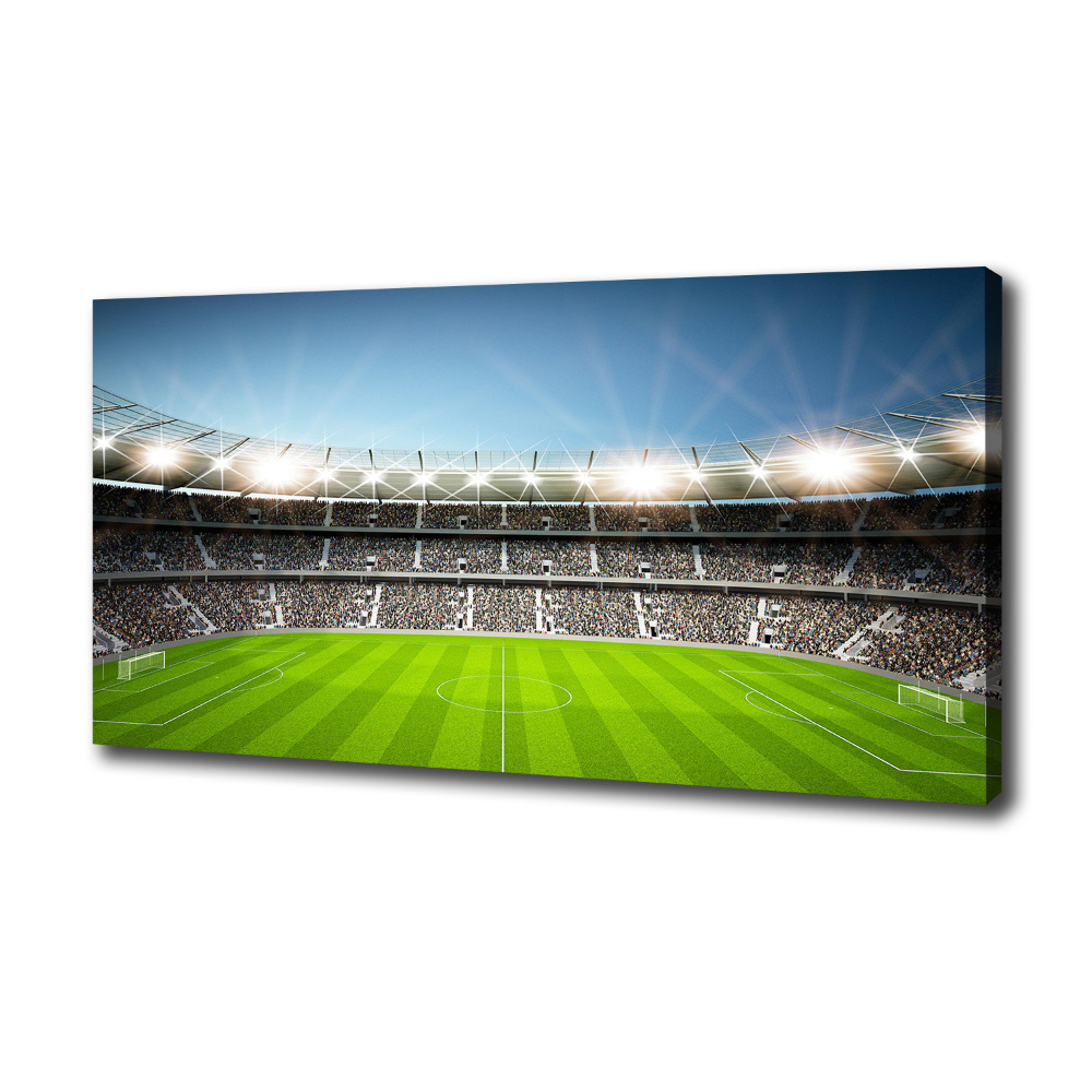 Canvas wall art Stadium