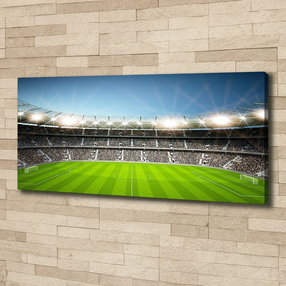 Canvas wall art Stadium