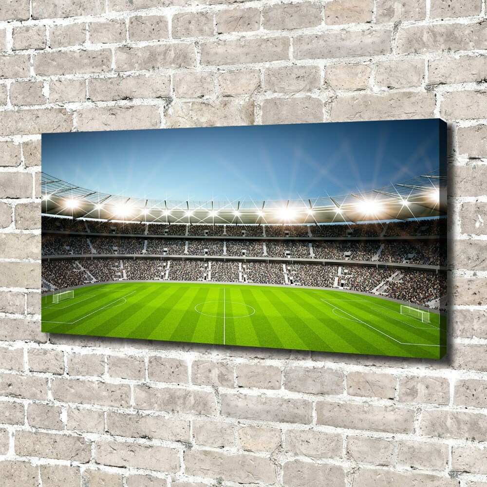 Canvas wall art Stadium