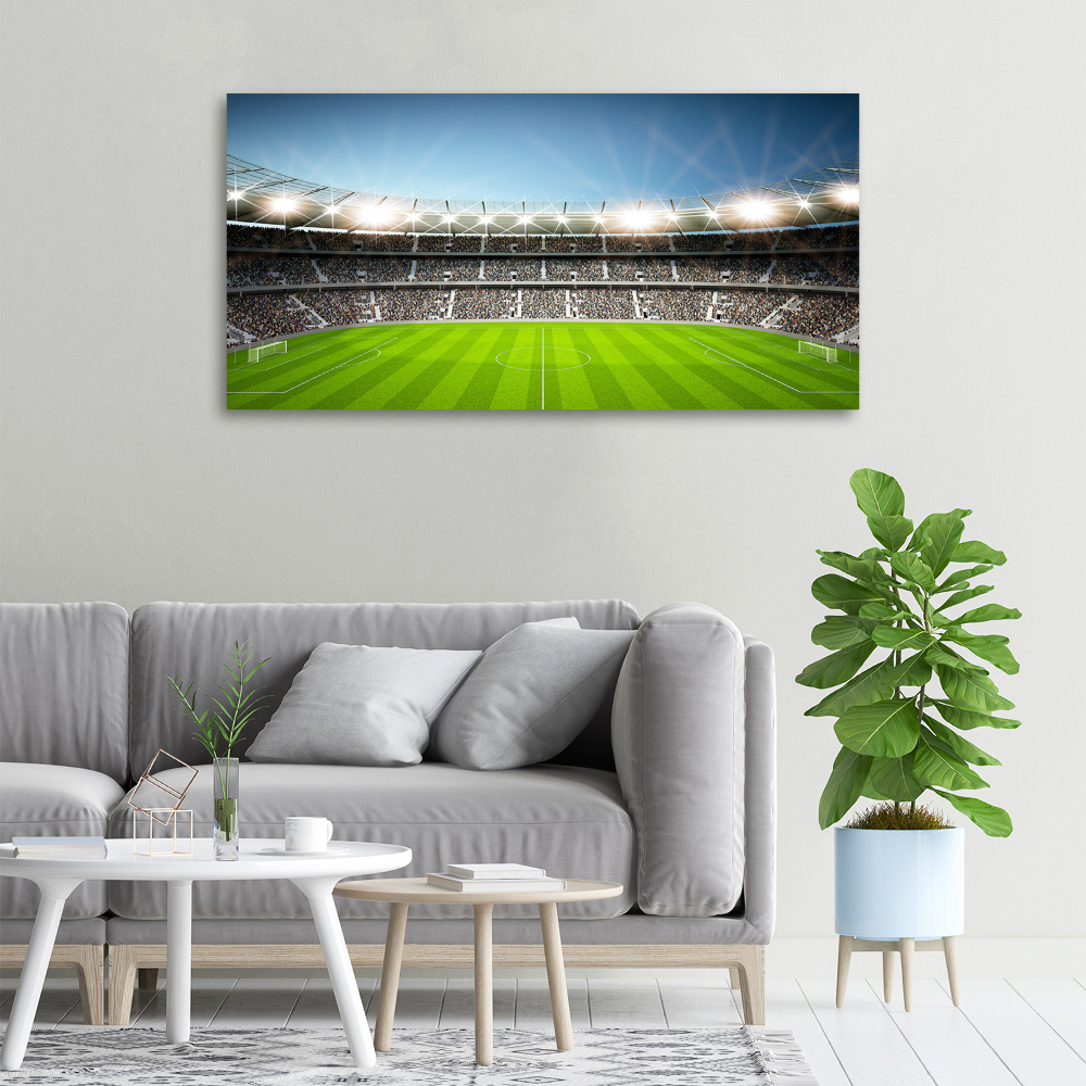 Canvas wall art Stadium