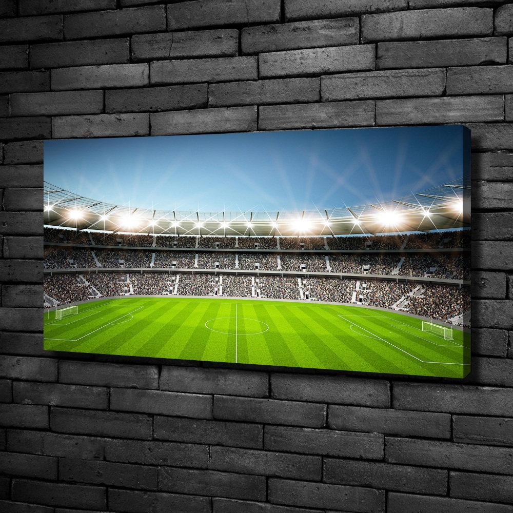 Canvas wall art Stadium