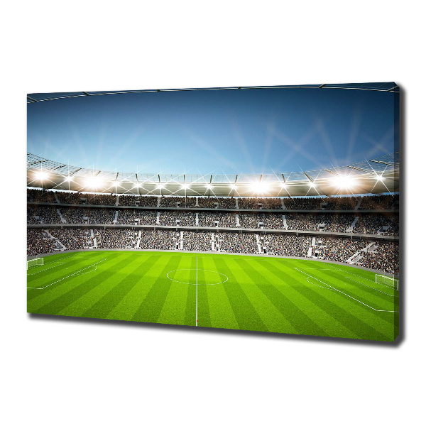 Canvas wall art Stadium