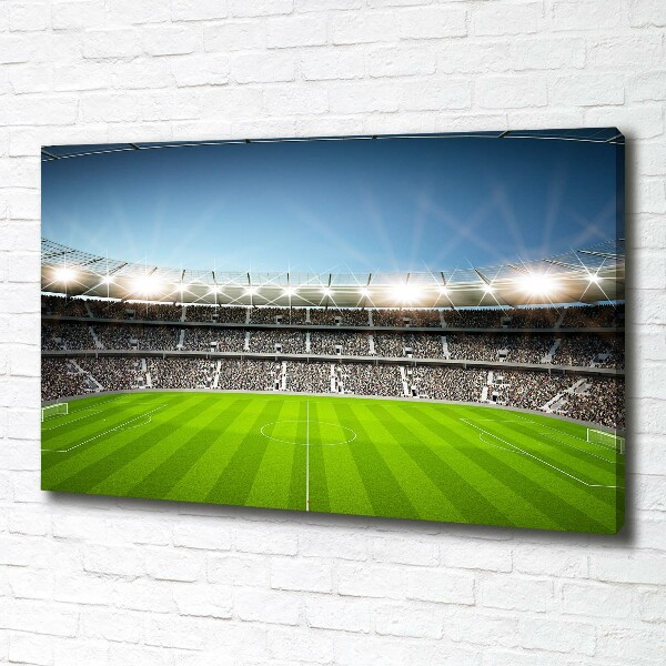 Canvas wall art Stadium