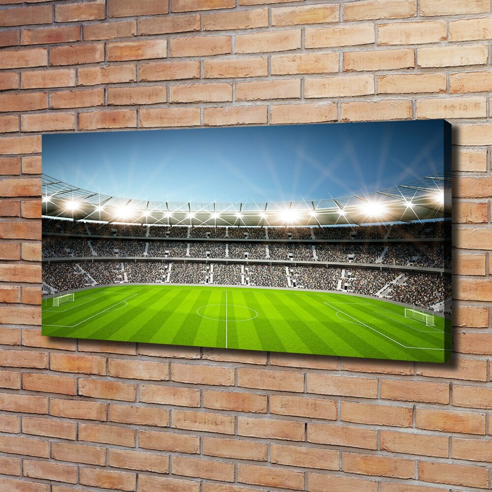 Canvas wall art Stadium