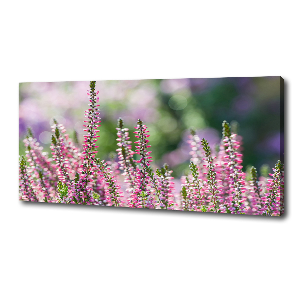 Canvas wall art Heather flowers